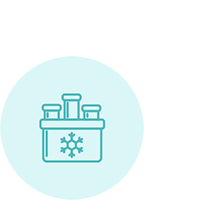 Congelación de óvulos