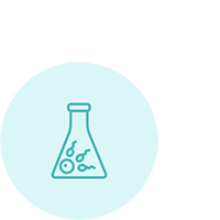 Transferencia de embriones