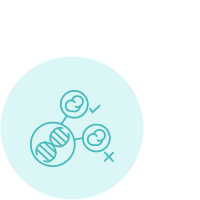 Estudio genético preimplantacional