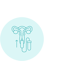 In Vitro Fertilization (IVF/IVF)